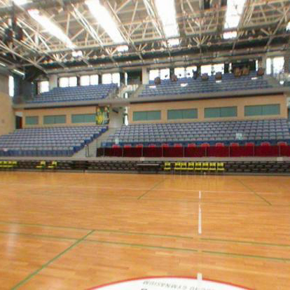 体育场馆木地板价格