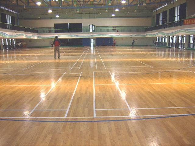 体育专用木地板价格