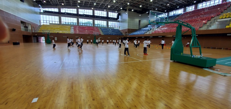 11e78cbbf124c02243191431be4ee336